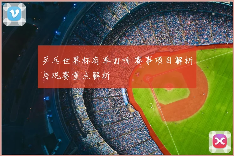 乒乓世界杯有单打吗 赛事项目解析与观赛重点解析