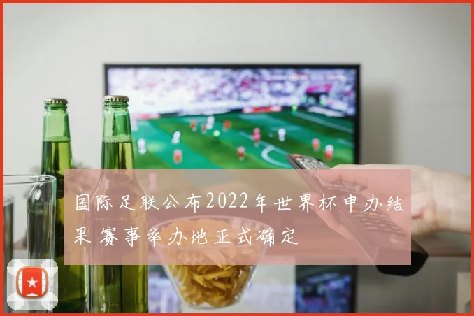 国际足联公布2022年世界杯申办结果 赛事举办地正式确定