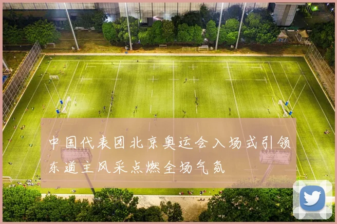 中国代表团北京奥运会入场式引领东道主风采点燃全场气氛
