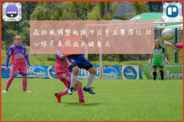森林狼调整轮换冲击季后赛席位 核心球员表现成关键看点