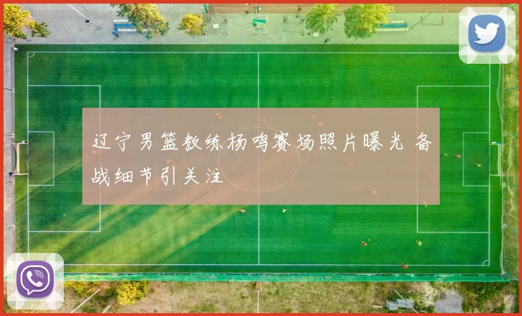 辽宁男篮教练杨鸣赛场照片曝光 备战细节引关注