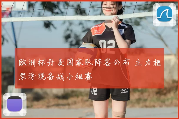 欧洲杯丹麦国家队阵容公布 主力框架浮现备战小组赛