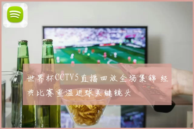 世界杯CCTV5直播回放全场集锦 经典比赛重温进球关键镜头
