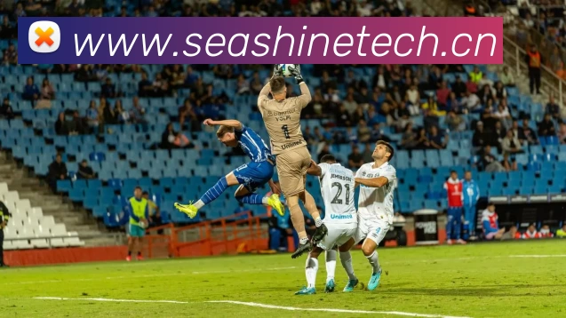 必一运动·(B - sports)官方网站平台生态图